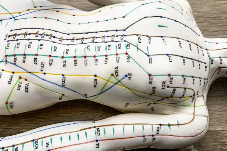 How Do Meridians Work