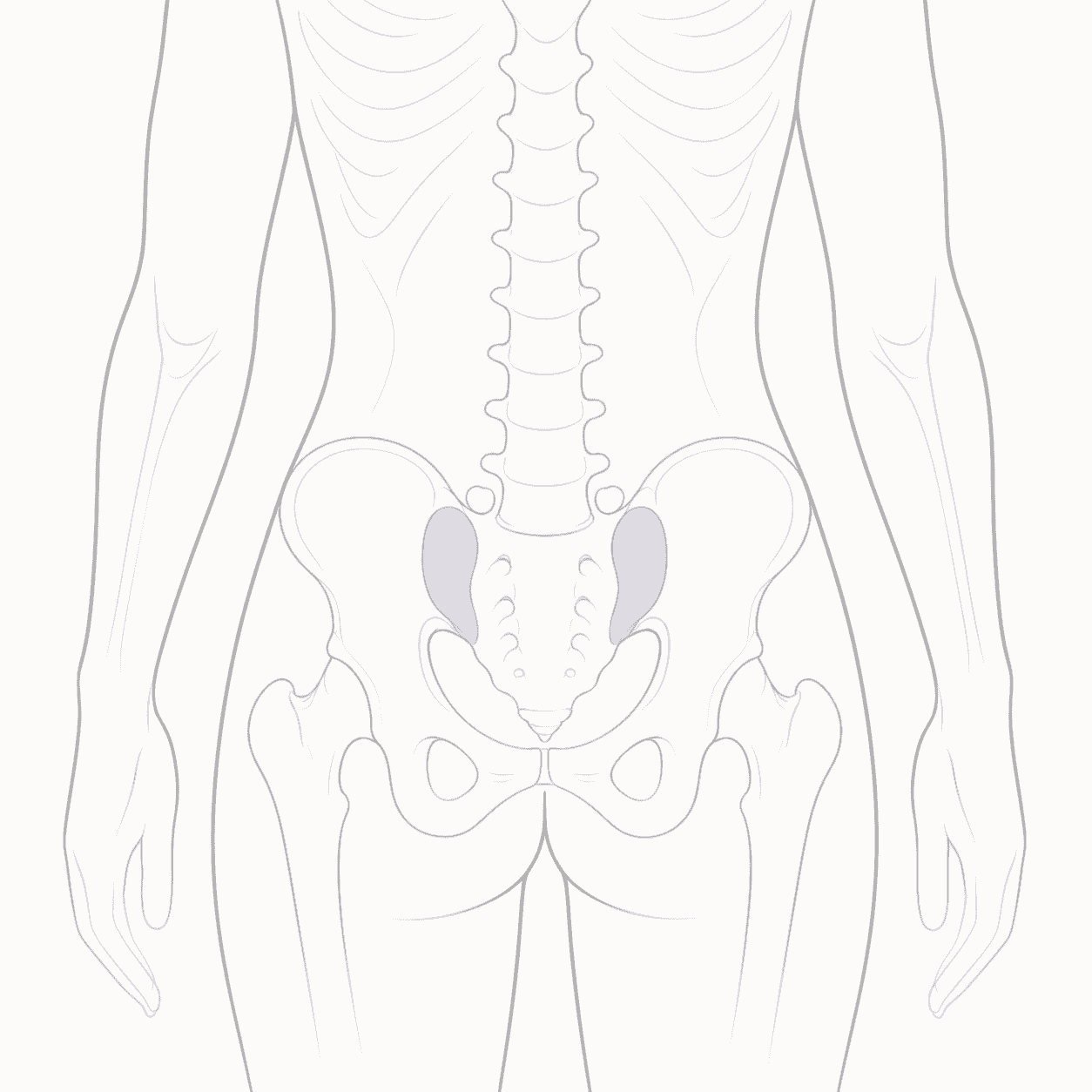 Acupressure for SI Joint Pain: Gentle Support for Low Back Tension locator illustration acupressure for SI joint pain pressure point locator illustration