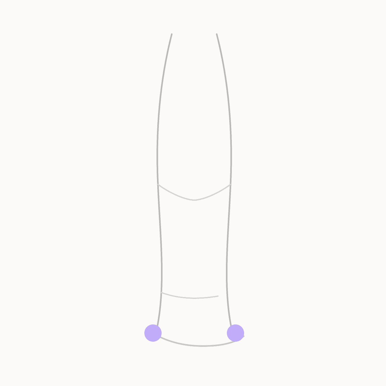 Anatomical locator illustration showing BL-65 Shugu
