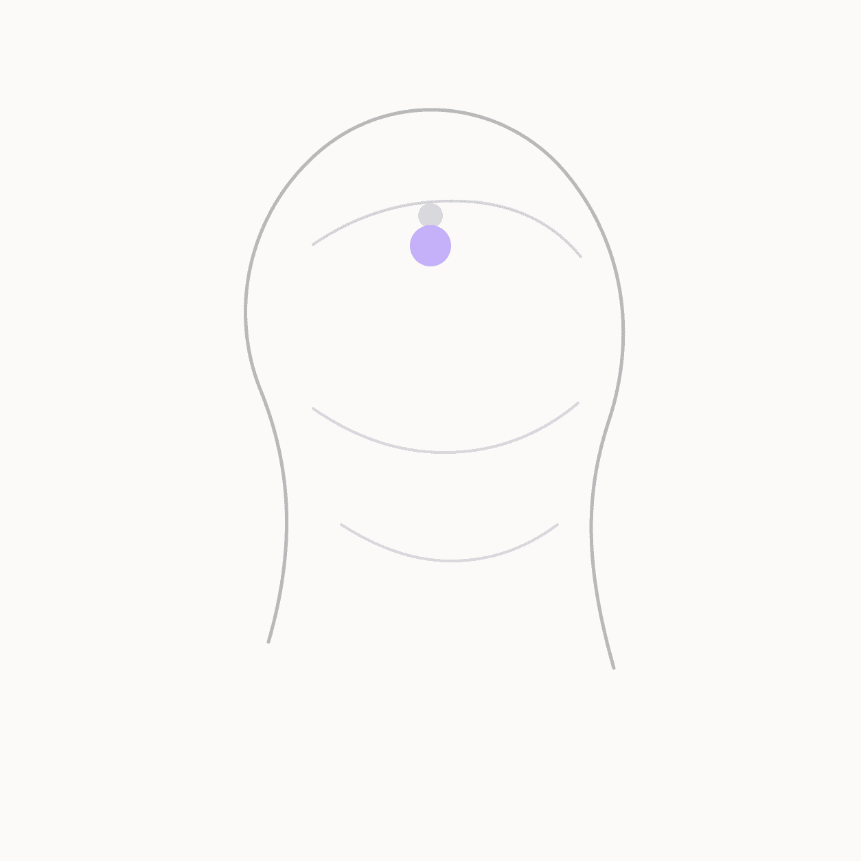 Anatomical locator illustration showing GV-24 Shenting