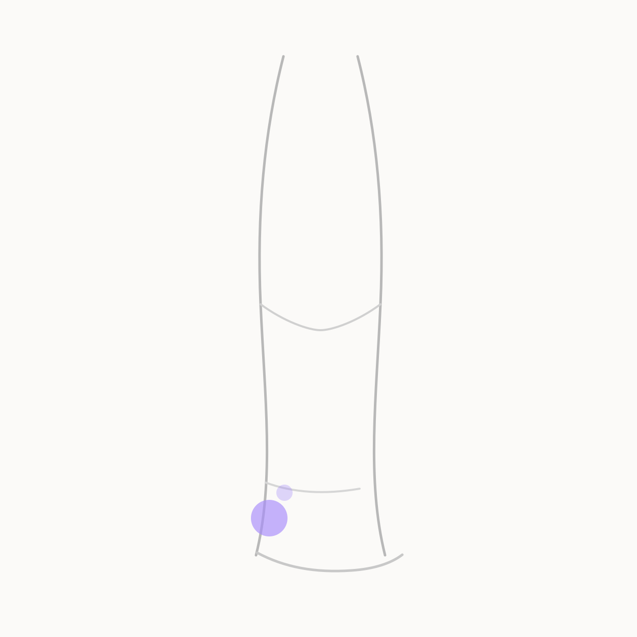 Anatomical locator illustration showing KID-4 Dazhong