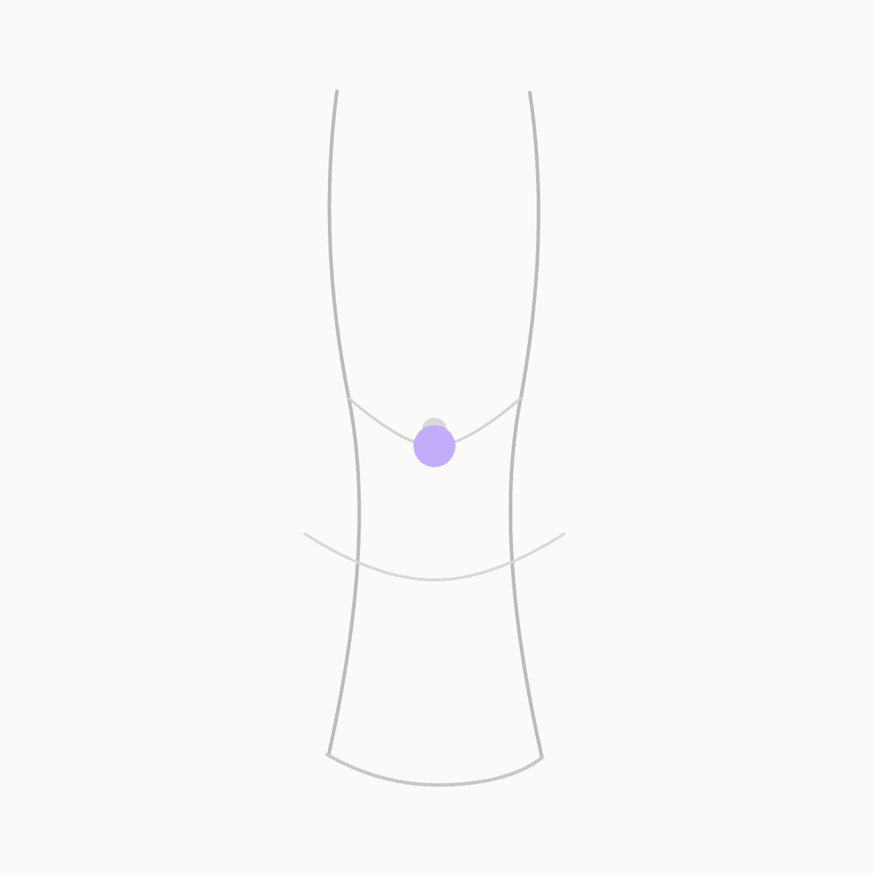 Anatomical locator illustration showing PC-7 Daling